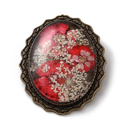 Retro Style Alloy Lapel Pins for Backpack Clothes JEWB-B034-01AB-01-1