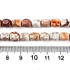 Natural Imperial Jasper Beads Strands X-G-N342-62K-5