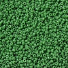 MIYUKI Round Rocailles Beads X-SEED-G007-RR0411-3