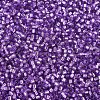 MIYUKI Delica Beads SEED-X0054-DB1343-3