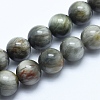 Natural Hawk's Eye Beads Strands X-G-E483-20-8mm-1