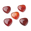 Natural Red Agate Cabochons G-P021-16-2