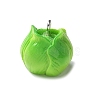 Resin Iron Pendants RESI-D280-03-2