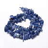 Natural Kyanite/Cyanite/Disthene Chip Beads Strands G-E271-78-2