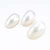 Natural White Shell Mother of Pearl Shell Cabochons SSHEL-P014-01A-1