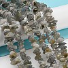 Natural Labradorite Chip Bead Strands G-M205-13-6