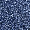 MIYUKI Round Rocailles Beads SEED-X0054-RR0648-3