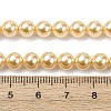 Electroplated Shell Pearl Beads Strands BSHE-G041-6mm-01-4