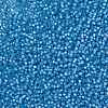 MIYUKI Round Rocailles Beads SEED-G008-RR0573-3