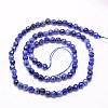 Natural Sodalite Beads Strands G-G545-16-2