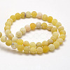 Frosted Natural Weathered Agate Beads Strands G-F367-6mm-11-4
