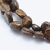 Natural Bronzite Beads Strands G-K203-33-3