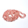Cherry Quartz Glass Chip Beads Strands X-G-L269-41-3