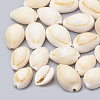 Cowrie Shell Beads X-SSHEL-T004-08-1