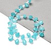 Dyed Natural Amazonite Beads Strands G-Q167-A11-02-2
