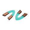 Transparent Resin & Walnut Wood Pendants RESI-N025-029-C04-3