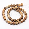 Natural Picture Jasper Beads Strands X-G-D686-8mm-2