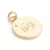 Brass Micro Pave Cubic Zirconia Pendants ZIRC-E164-34L-G-2