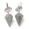Natural Labradorite Pendants G-O194-02-2