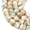 Natural Seashell Shell Beads Strands SH-CBAFEDD-01A-2
