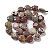 Natural America Picture Jasper Beads Strands G-NH0004-035-3