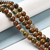 Natural Rhyolite Jasper Bead Strands G-G684-01-8mm-7