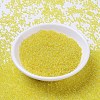 MIYUKI Round Rocailles Beads X-SEED-G007-RR0252-2
