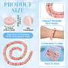1 Strand Natural Freshwater Shell Beads Strands SHEL-TA0001-35B-4