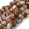 Natural Agate Beads Strands G-H295-B01-02-2