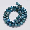 Natural Apatite Round Bead Strands G-M304-14-8mm-2