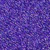 12/0 FGB Grade A Round Glass Seed Beads SEED-N001-E-445-2
