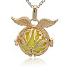 Golden Tone Brass Cage Pendants KK-J213-12G-2
