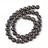 Natural Labradorite Beads Strands G-G0003-C03-12mm-3