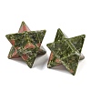 Natural Unakite Beads G-A206-01B-69-2