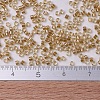 MIYUKI Delica Beads SEED-X0054-DB0901-4