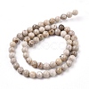 Natural Maifanite/Maifan Stone Beads Strands G-I187-6mm-01-6