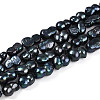 Natural Nucleated Baroque Keshi Pearl Beads Strands PEAR-S020-F13-01-2