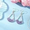 Natural Amethyst Arch Dangle Earrings EJEW-TA00742-03-1