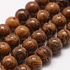 Natural Elephant Skin Jasper/Miriam Stone/Calligraphy Stone Beads Strands G-F512-8mm-1