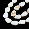 Natural White Shell Beads Strands PBB263Y-1-5