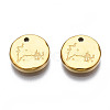 316 Surgical Stainless Steel Charms STAS-S116-418L-G-2