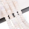 Natural Weathered Agate Beads Strands G-N357-13A-05-5