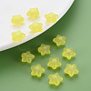 Transparent Acrylic Beads MACR-S373-26E-09-6