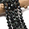 Natural Kambaba Jasper Beads Strands G-Z119-A20-02-1
