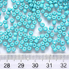 6/0 Baking Paint Glass Round Seed Beads SEED-S036-01C-13-3