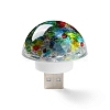 Resin & Epoxy Resin Decor Plate Night Light DJEW-K030-01B-2