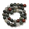 Natural Afican Bloodstone Beads Strands G-C079-B02-02-3