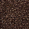 MIYUKI Delica Beads X-SEED-J020-DB1051-3