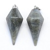 Natural Labradorite Pointed Pendants KK-E757-F-18P-1