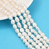 Natural Cultured Freshwater Pearl Beads Strands PEAR-P064-20C-06A-1